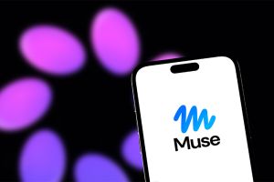 Meta Platforms a trouvé sa « muse »