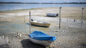 Wie viel müsste es regnen, damit sich der Bodensee wieder füllt? Wir haben mal nachgerechnet