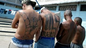 Lame e proiettili, notte di Far West a Cologno Monzese: peruviani sotto i colpi dei latinos. Ecco cosa sappiamo