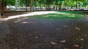 Espacio público a debate si hay daños