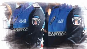 Vulnerabilidad y seguridad