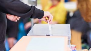 El artículo 8 de la Constitución y el 