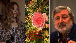 “A 2 mesi dalla morte di papà è fiorita la mia rosa preferita”, il dolce messaggio di Teresa Guccini in ricordo del Maestrone