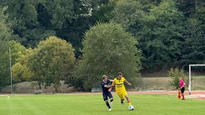 Serie D. La Cittadella ’bis’ saluta la Coppa