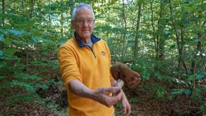 Pilze sammeln trotz Trockenheit: Was ein Experte jetzt im Wald findet