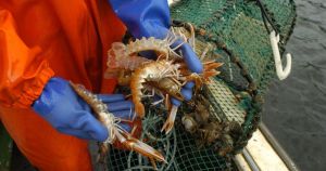 This is a question every Scottish seafood lover should consider before ordering