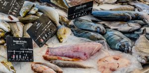 Vaut‑il mieux manger de petits poissons ou de grands poissons ?