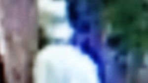 45-årig stadig savnet: Politiet leder med hunde