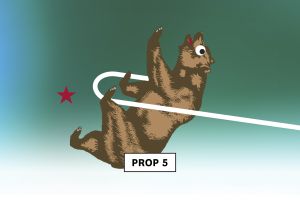 Endorsement: Prop 5 has a flaw so bizarre even its author doesn’t like it