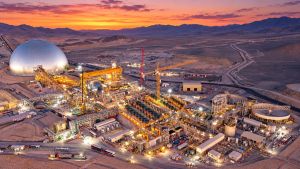 Impacto en golondrinas y monitoreo de aves con radar: Las exigencias a proyecto minero de BHP por US$ 318 millones