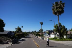 Trump Casts Long Shadow Over California Campaigns