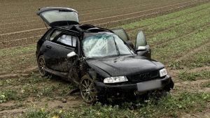 Fahrer schwer verletzt: Auto kommt von Landesstraße ab