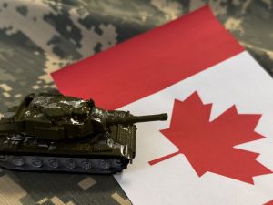 Institutional investors looking for right conditions to allocate capital in defence sector: expert