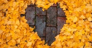 5 Ways to Move Gratitude From Your Head to Your Heart