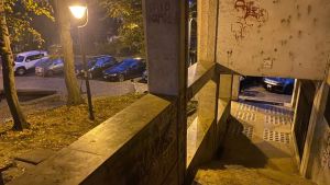 Violenza sessuale in centro a Treviso, cinquantenne aggredita in via Toniolo: salvata da un ragazzo