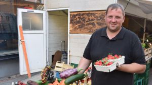 Der Rekord-Sommer macht’s möglich: Am Hochrhein gibt es im Oktober noch Erdbeeren aus der Region