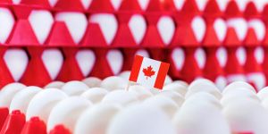 Celebrating the farmers behind a Canadian success story on World Egg Day