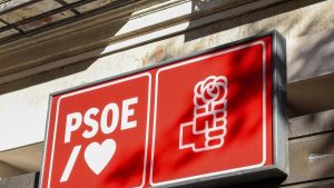 El juez Pedraz descarta por el momento imputar al PSOE en la causa de la 'fontanera' Leire Díez