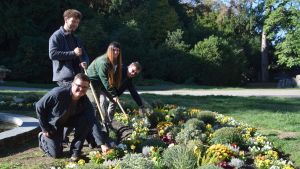 Blütenmeer statt Einheitsgrün: Stadtgärtnerei verrät Geheimnisse der farbenfroh bepflanzten Beete