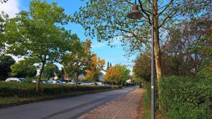 Recycling, E-Autos und LED-Leuchten: Auf diese Themen können sich die Engener freuen
