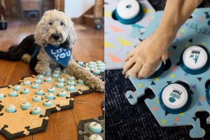 Millions are using ‘talking buttons’ with their pets. It’s not speech. It’s not a gimmick, either.