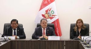 Comisión de Constitución del Senado inicia debate sobre facultades legislativas al Gobierno