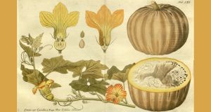 9 pumpkin recipes from the 1800s that are totally worth bringing back this fall