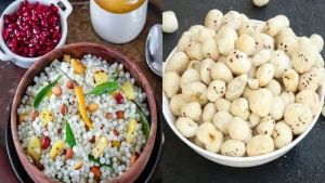Navratri fasting rules 2026: What can you eat and what should you avoid during nine-day vrat?