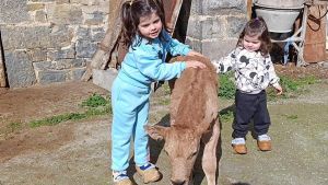Mía Fernández, la niña gijonesa de cinco años que susurraba a los 