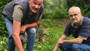 Ecco la stagione dei funghi. Scoperte due nuove specie