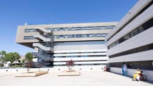 ¿Tiene Ibiza los recursos necesarios en salud mental que necesita su población? La respuesta es clara: NO