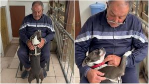 Don Marco si difende, dopo la multa di 250 euro per la catena al cane Elly: “Non ho minacciato nessuno”