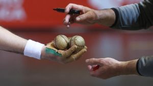 La pelota profesional
