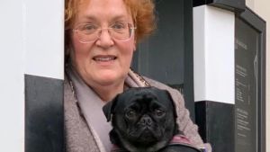 Hoch lebe der Hund