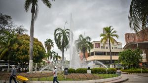 Cachaquilleros