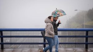 Llegaron las lluvias y quizás nos hagan más amables