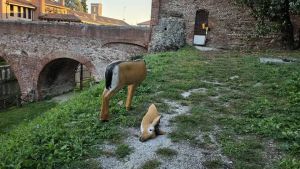 Cittadella, vandalismi e danni alla gara di arco storico