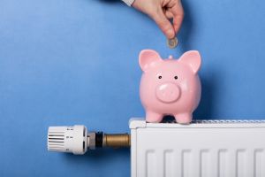 Bonus bollette 2026, chi può ottenere il contributo da 115 euro e gli sconti su luce, gas e acqua: importi, requisiti e come richiederli
