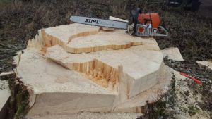 Massive Baumfällung am Andelsbach – neue Birken ersetzen gefährlichen Altbestand