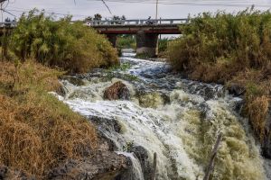 Un día bajo el agua infecta de Guadalajara