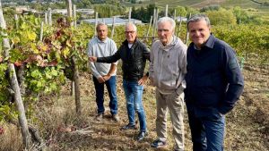 Vigna storica da salvare a Stradella, Centinaio: «Coinvolgo università e Torrevilla»