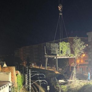 Adiós al viejo 