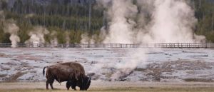 America First Is Good Policy For Our National Parks