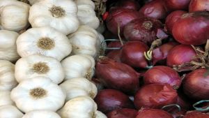 Why are onion and garlic avoided during Navratri? The traditional belief explained