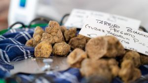 Il tartufo incontra la Foresta Nera