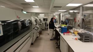 Belluno, guasto informatico al Laboratorio analisi: saltati oltre 350 appuntamenti