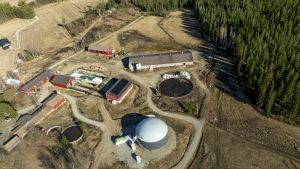 Energia | Lukijalta: Biopolttoaine olisi nopea ratkaisu sähkön säätövoimaksi
