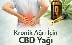 Kronik ağrı için CBD yağı: Bilim ne diyor?