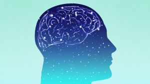 Your Brain Has Its Own Cleaning System That Helps Prevent Alzheimer’s. Science Is Learning How to Repair It