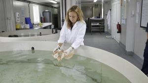 El Acuario de Gijón aboga por su ampliación y se reivindica como 